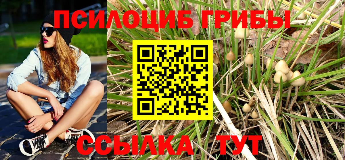 Минусинск  Галлюциногенные грибы GOLDEN TEACHER  Вход с VPN 