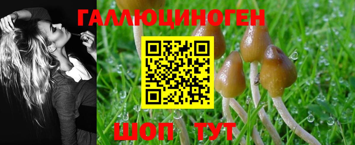 Псилоцибиновые грибы MAGIC MUSHROOMS Минусинск